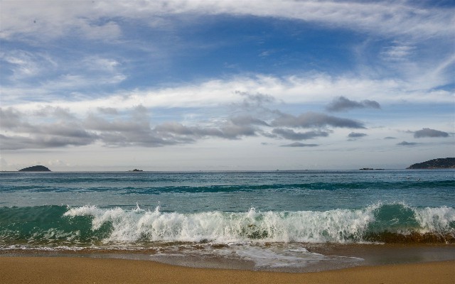 拼多多补单软件