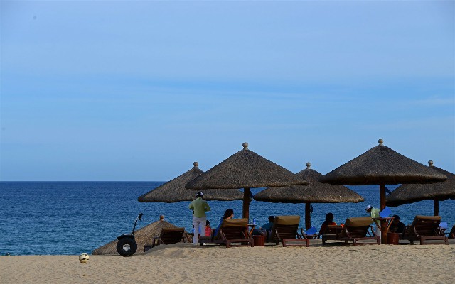 拼多多补单软件