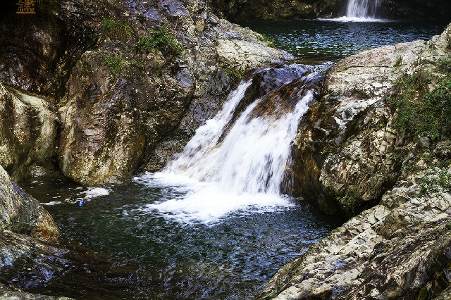 拼多多补单软件