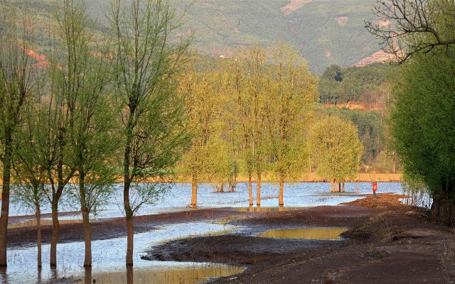 拼多多补单软件