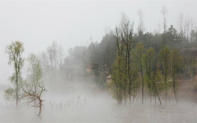 拼多多补单软件