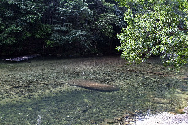 拼多多补单软件