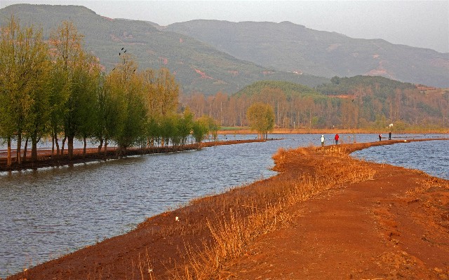 拼多多补单软件