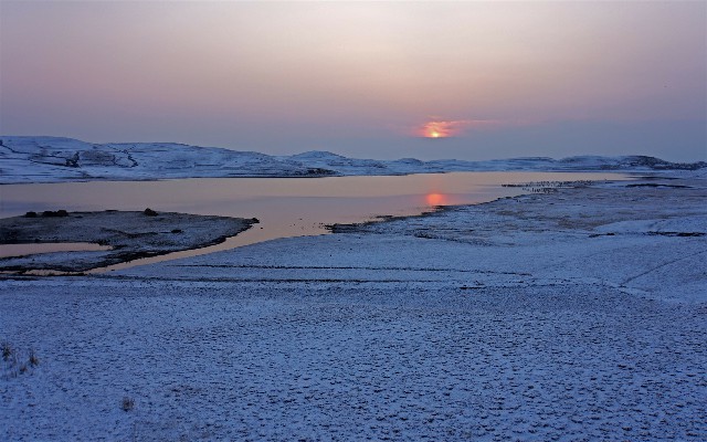 拼多多补单软件