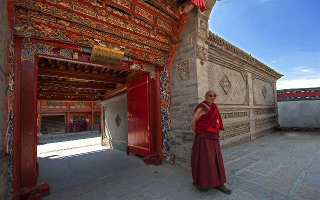 拼多多补单软件