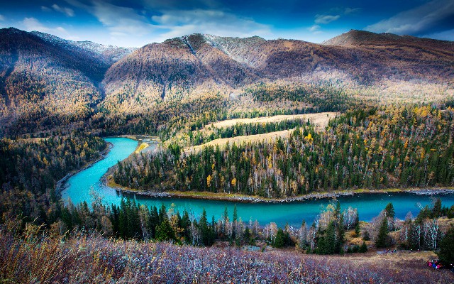 拼多多补单软件