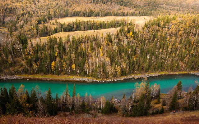 拼多多补单软件