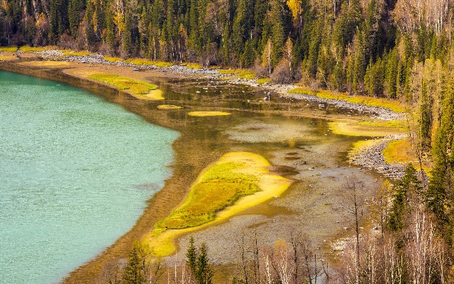 拼多多补单软件