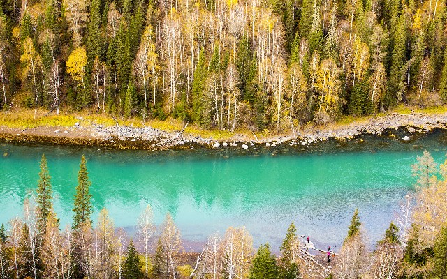 拼多多补单软件