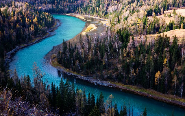 拼多多补单软件