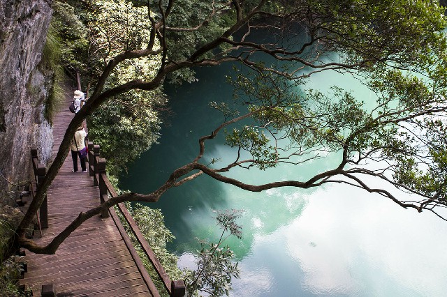 拼多多补单软件