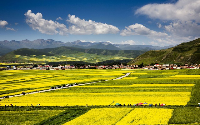 拼多多补单软件