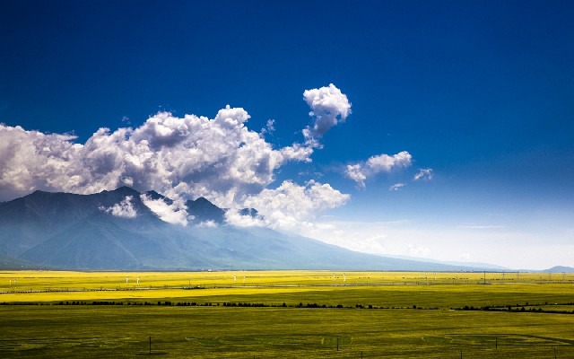 拼多多补单软件