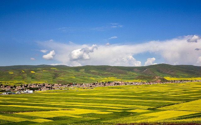 拼多多补单软件