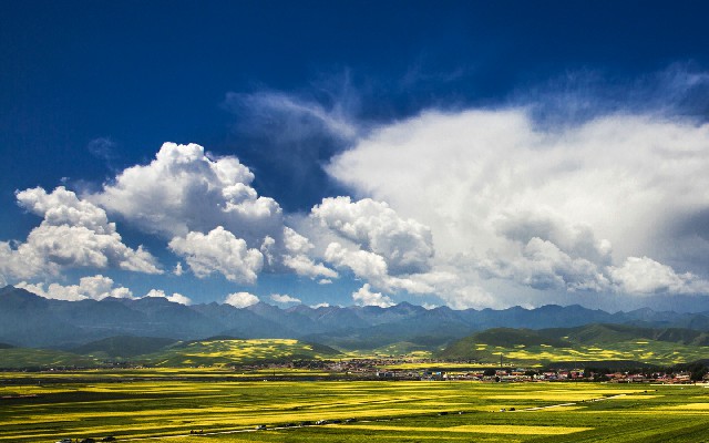 拼多多补单软件