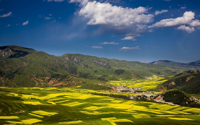 拼多多补单软件