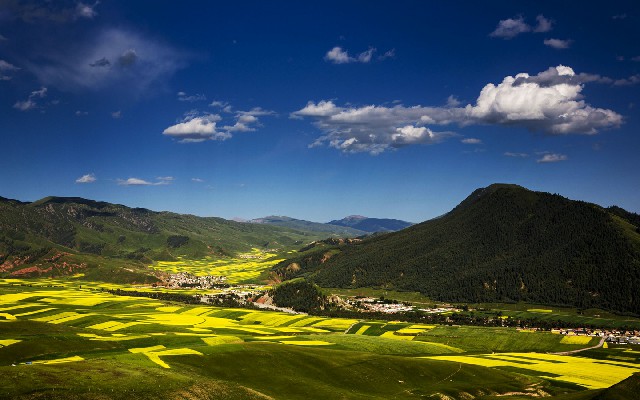 拼多多补单软件