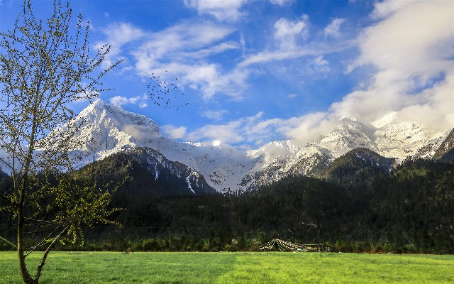 拼多多补单软件