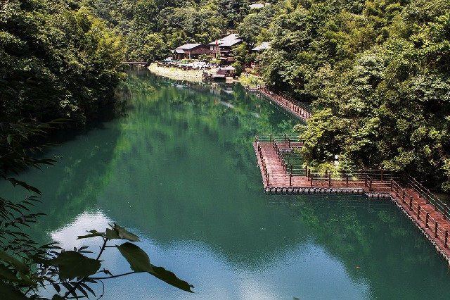 拼多多补单软件