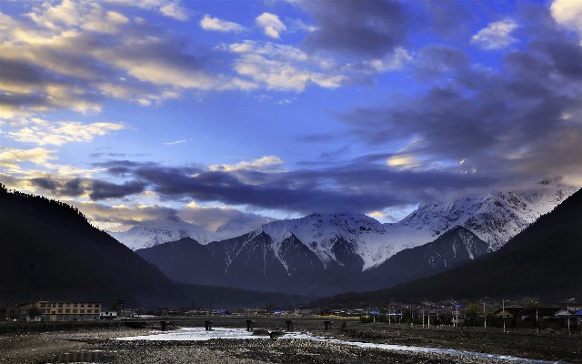 拼多多补单软件