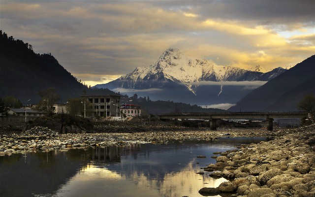 拼多多补单软件