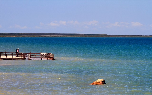 拼多多补单软件