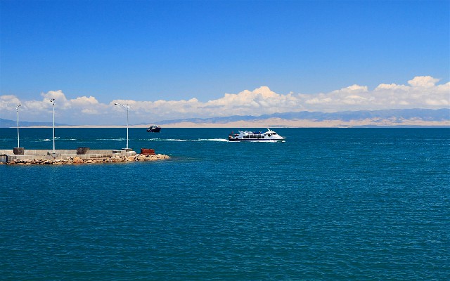 拼多多补单软件