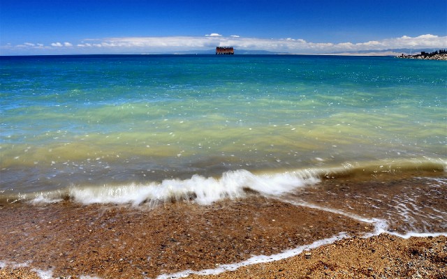 拼多多补单软件