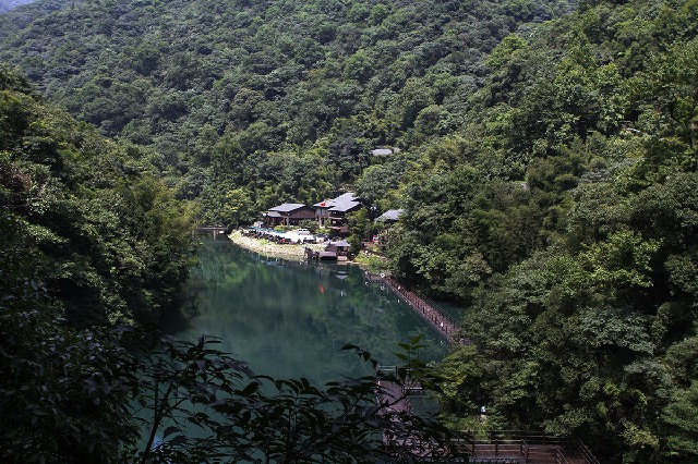 拼多多补单软件