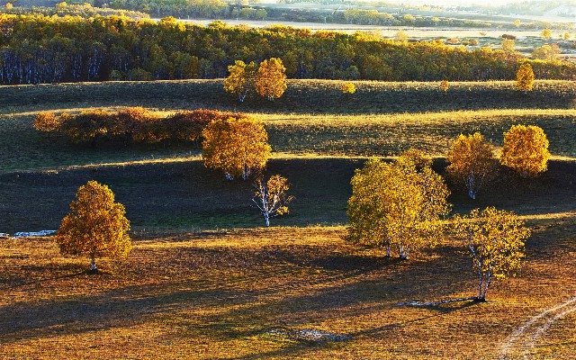 拼多多补单软件