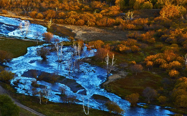 拼多多补单软件