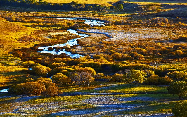 拼多多补单软件