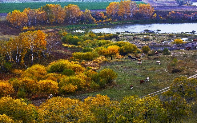 拼多多补单软件