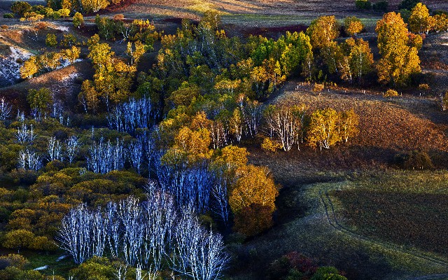 拼多多补单软件