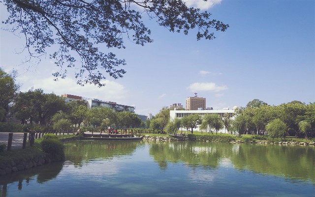 拼多多补单软件