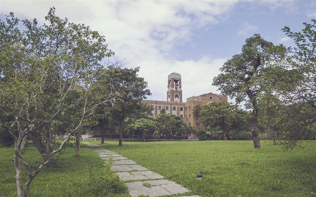 拼多多补单软件