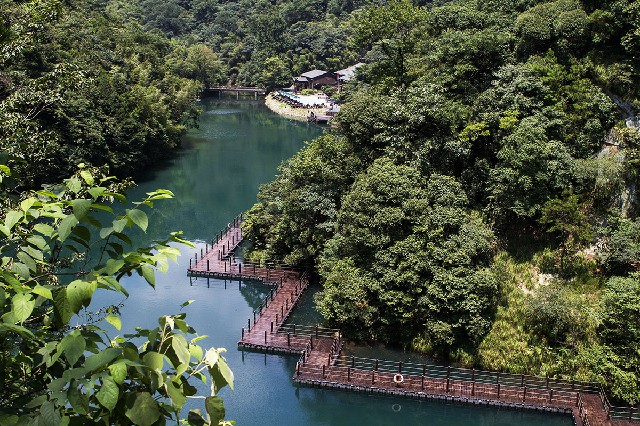 拼多多补单软件