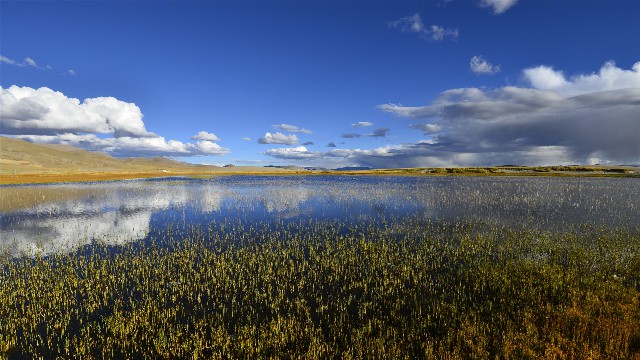 拼多多补单软件