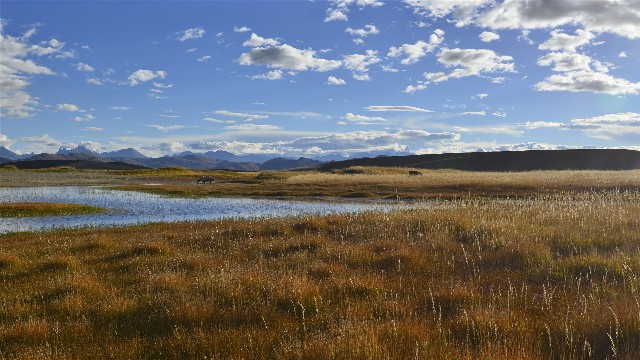 拼多多补单软件