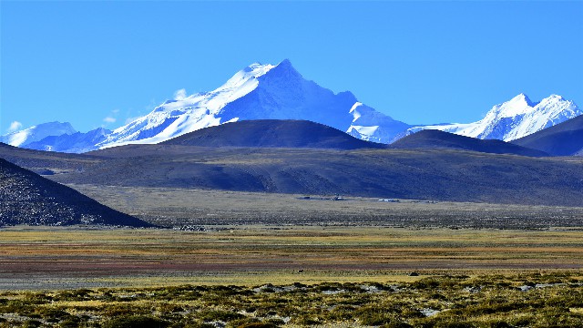 拼多多补单软件