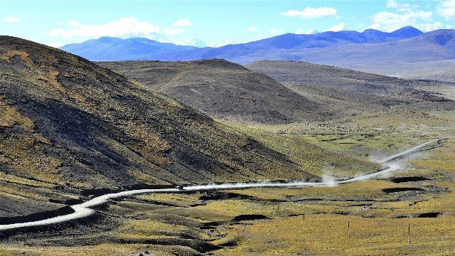 拼多多补单软件