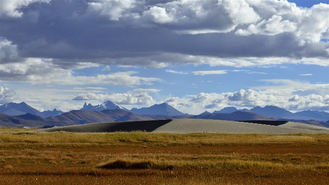 拼多多补单软件