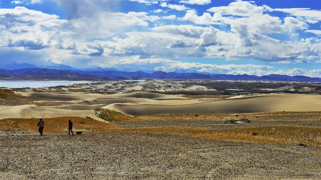 拼多多补单软件