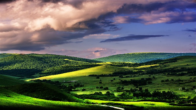拼多多补单软件