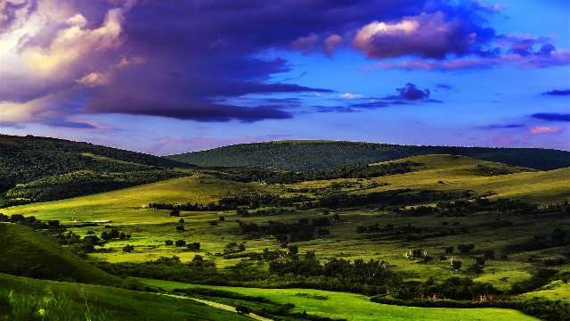 拼多多补单软件