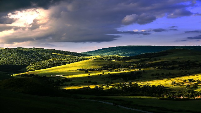 拼多多补单软件