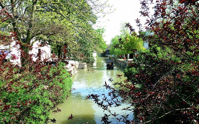 拼多多补单软件