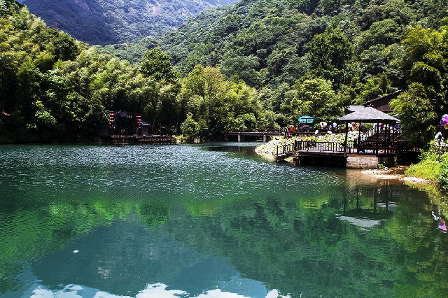 拼多多补单软件