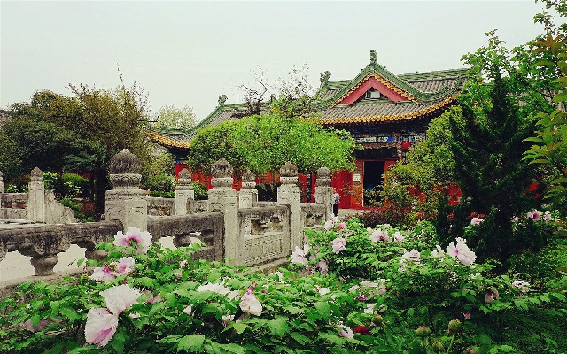 拼多多补单软件