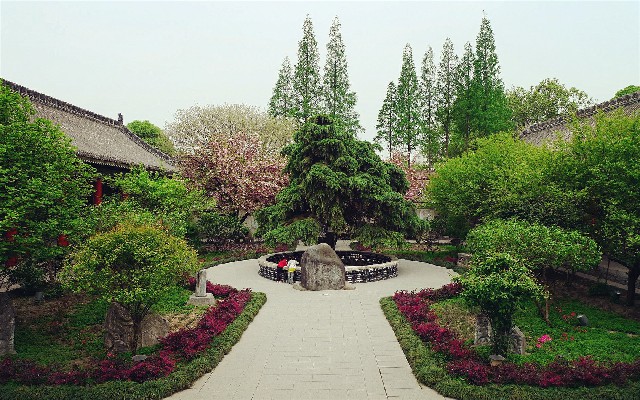 拼多多补单软件